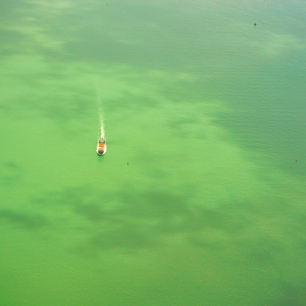 a boat steers through an algae covered ocean