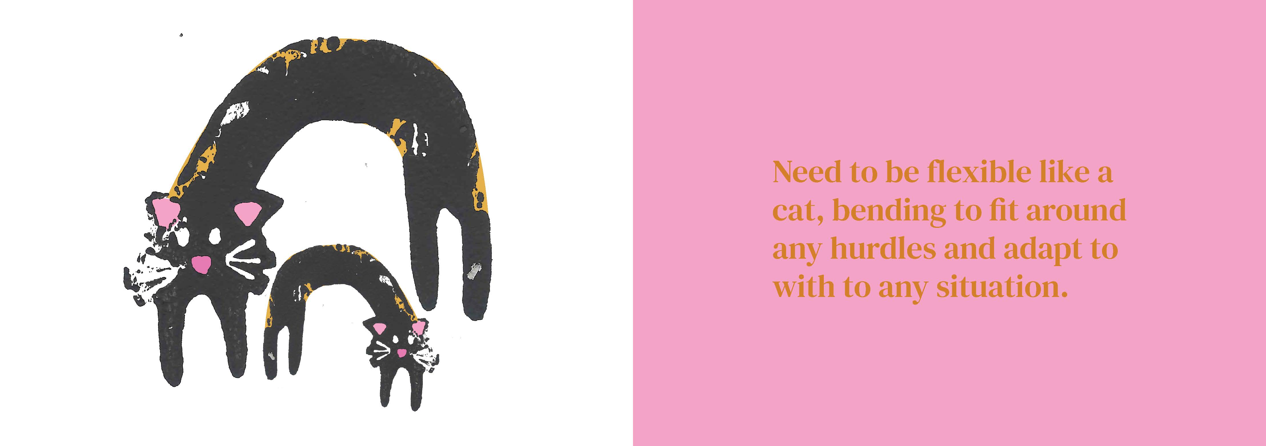 image of insight card - cats