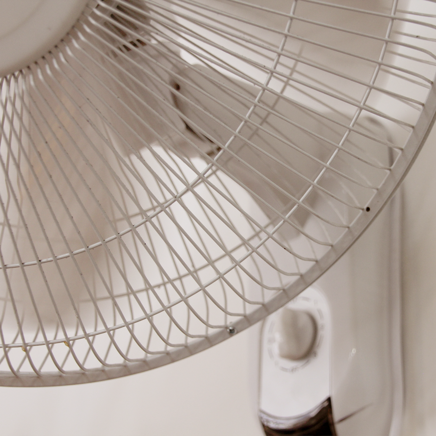 photograph of a fan