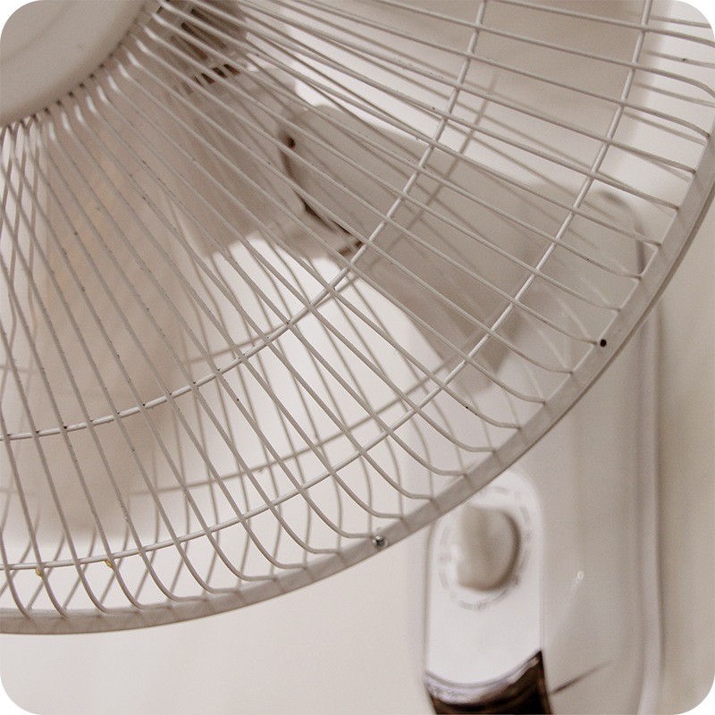 photograph of a fan