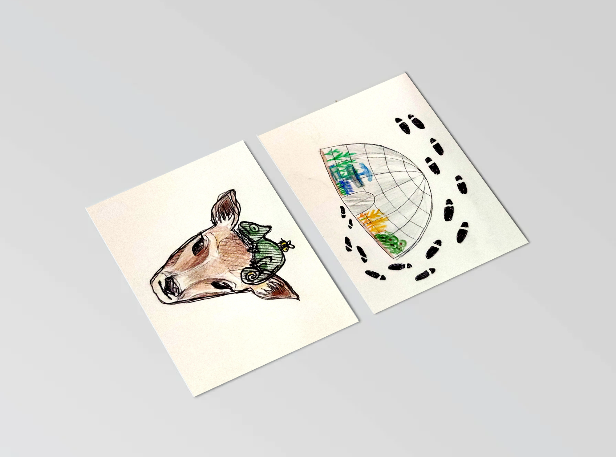 reflective image cards